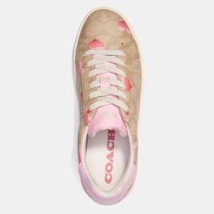 Coach sneakers